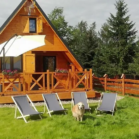 Nad Narwia Dzierzenin